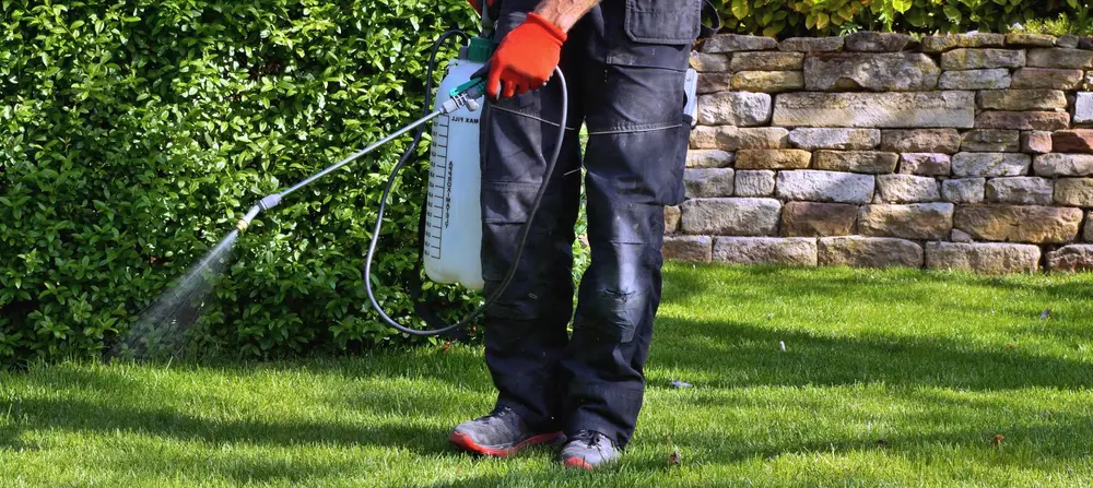 Technician spraying a lawn treatment beside a stone wall