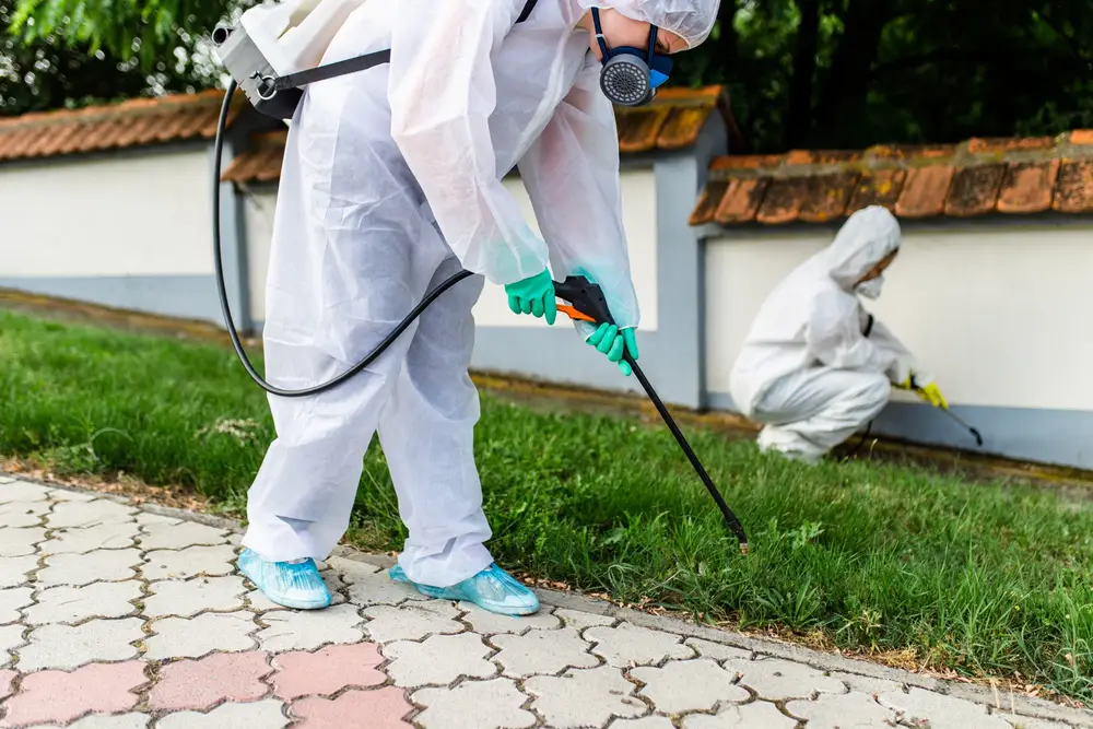 Technicians spraying along the outside wall of a property