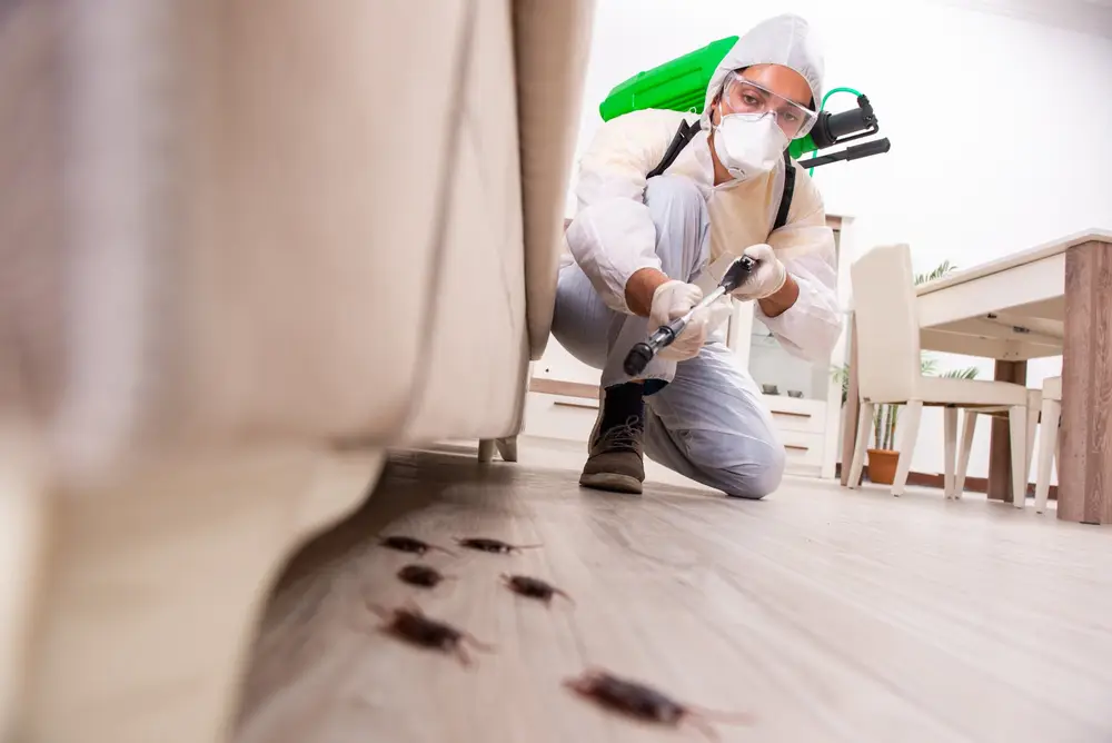 Technician treating a floor for cockroaches